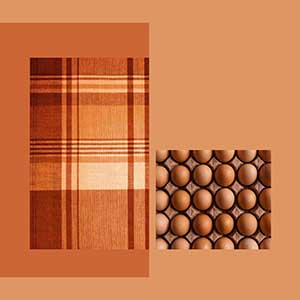Egg Palette